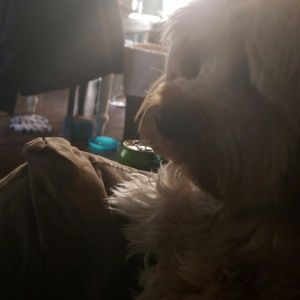 Meet your Posher, Cory